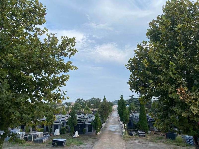 園區(qū)景觀
