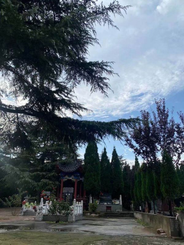園區(qū)景觀