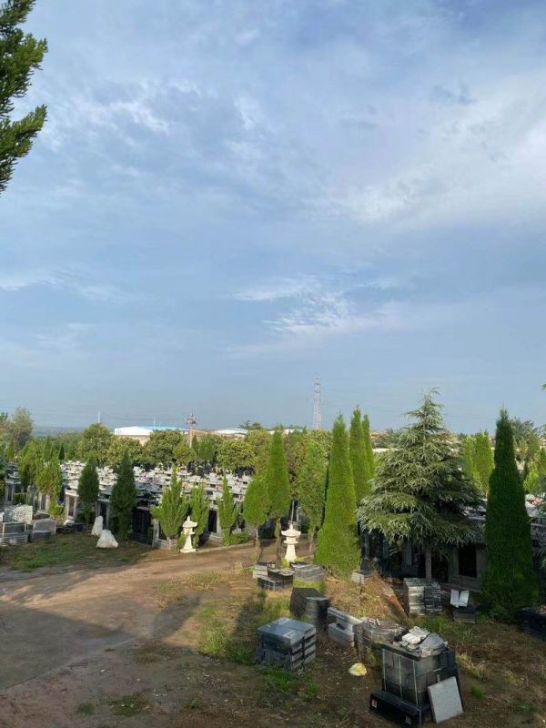 園區(qū)景觀